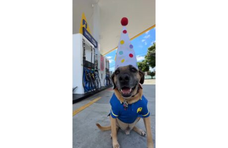 Lagunitas promove ação de adoção responsável durante aniversário do influencer pet Matuê