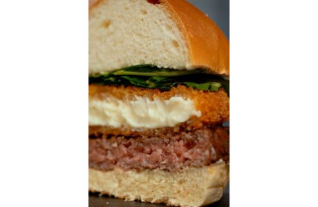 Lançamento Linha profissional da Catupiry ganha novos produtos