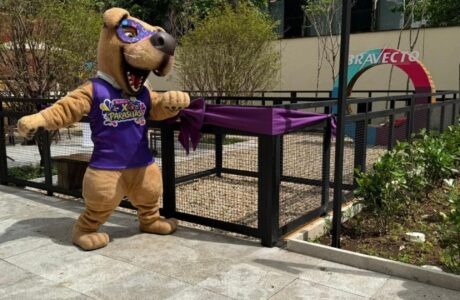 MSD Saúde Animal eleva experiência pet friendly com inauguração de Pet Place