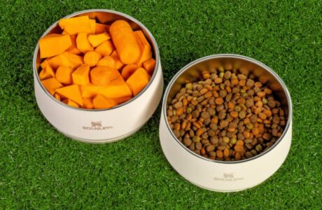 Stanley 1913 estreia no segmento pet com o lançamento do Pet Bowl