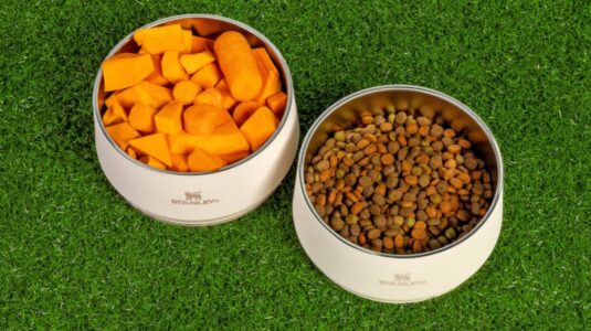 Stanley 1913 estreia no segmento pet com o lançamento do Pet Bowl