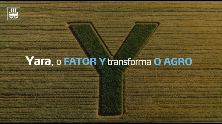 yara fator y
