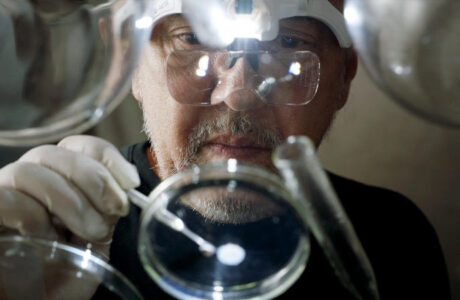 Avon convida artistas para assinarem primeira tatuagem em pele feita em laboratório