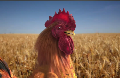 Campanha “Galo, o Guardião da Origem” une tradição e inovação reforçando o posicionamento da marca líder do mercado brasileiro