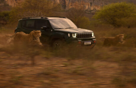 Jeep lança campanha com referências a O Rei Leão para apresentar o Novo Renegade