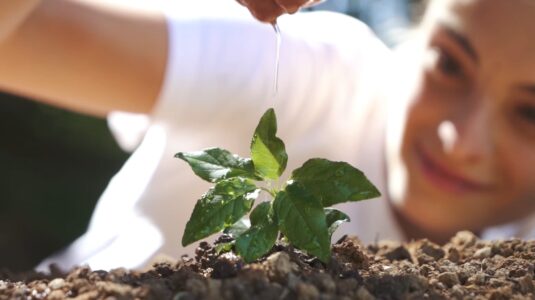 Korin lança manifesto e reposiciona marca a partir do conceito “saúde única”