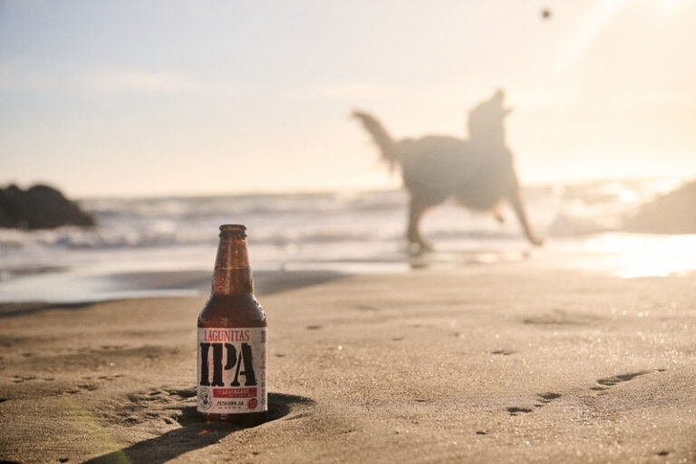 Lagunitas divulgacao