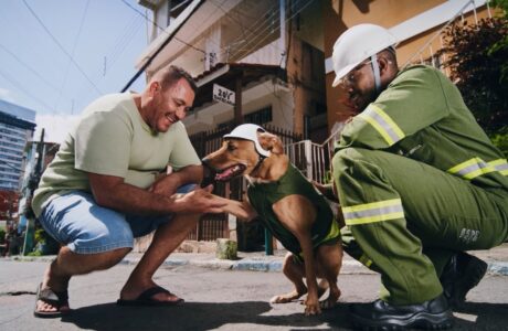 Neoenergia lança campanha com cão caramelo para alertar sobre segurança na rede elétrica