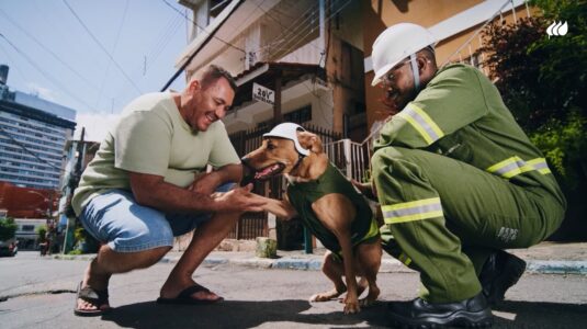 Neoenergia lança campanha com cão caramelo para alertar sobre segurança na rede elétrica