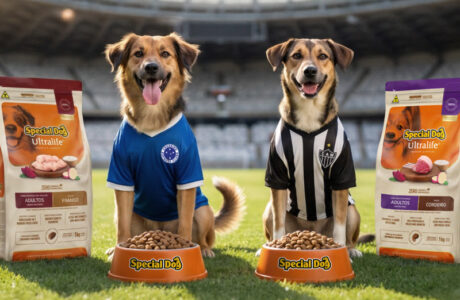 Special Dog Company une torcidas de Cruzeiro e Atlético-MG em clássico para alimentar animais em situação de vulnerabilidade