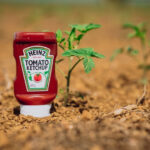Kraft Heinz investe em IA para expandir liderança em atomatados no Brasil