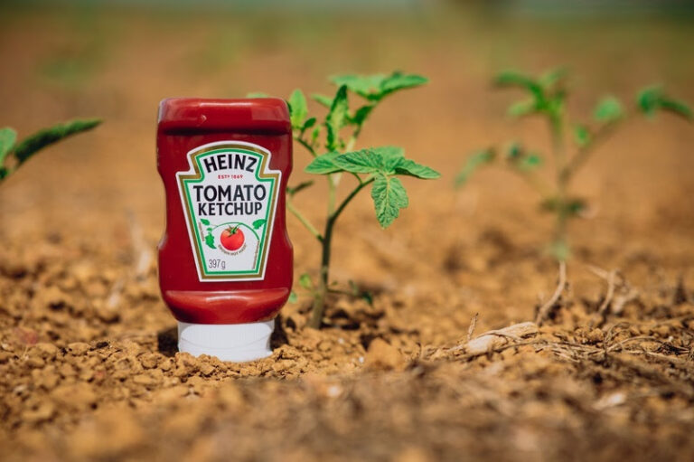 Kraft Heinz investe em IA para expandir liderança em atomatados no Brasil